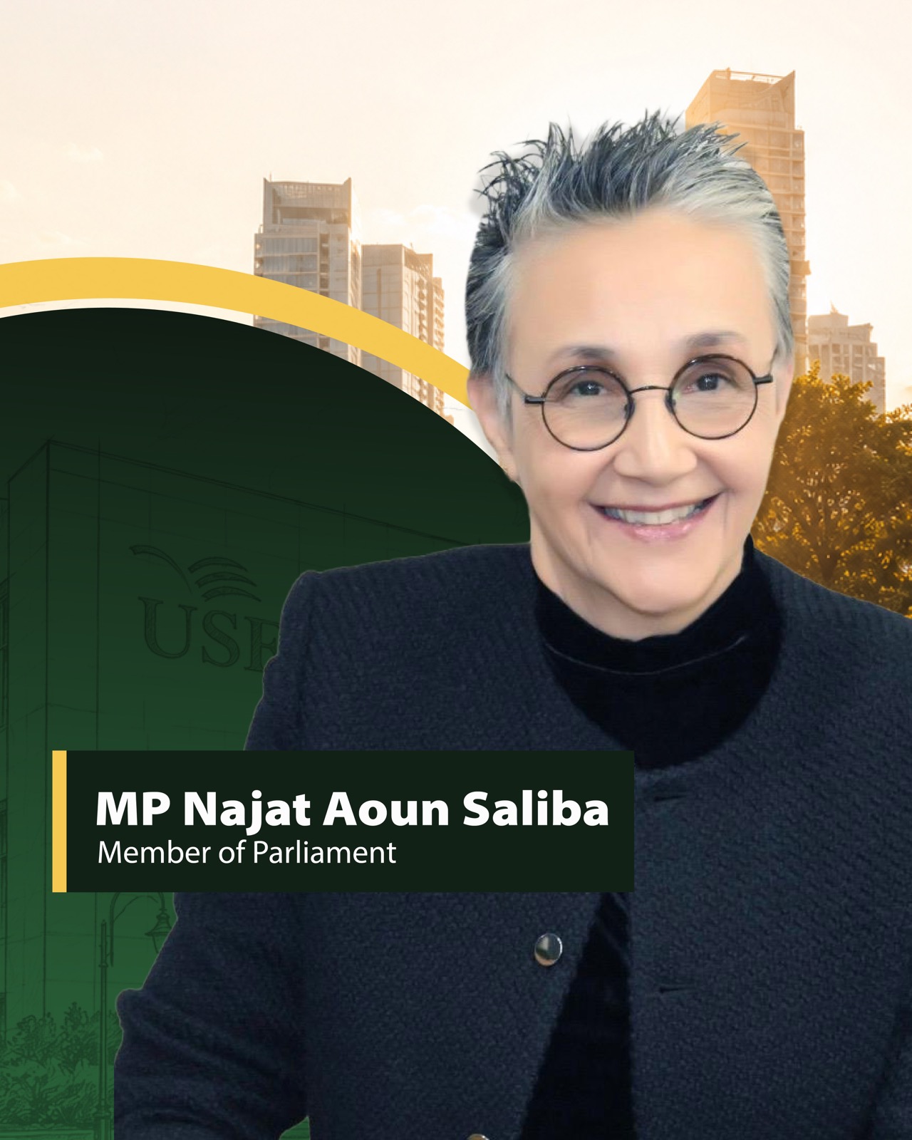 MP Najat Aoun Saliba, Member of Parliament